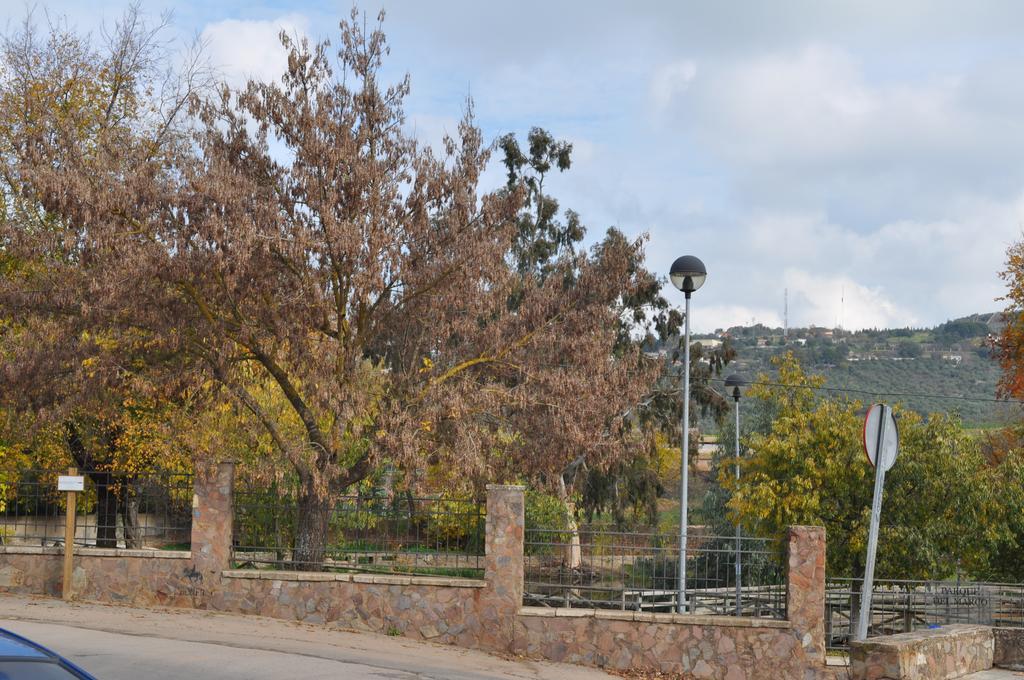 Apartamento Turistico La Ribera Del Marco Caces 客房 照片